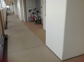 ２０１３．８.２７．-９時頃撮影